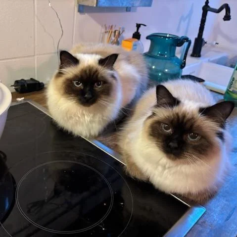 Bella and Oté